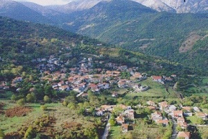 link_drakotrypa.jpg
