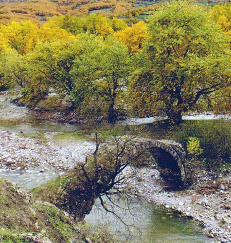 "Παλαιοκαμάρα" στην Πορτή, στο δρόμο από Μουζάκι προς Αργιθέα